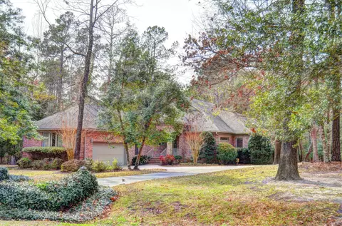 107 Canvasback Pt, Hampstead, NC 28443 photo 1