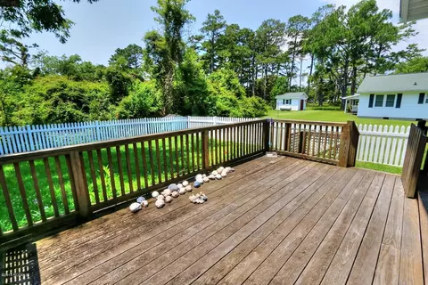 227 Horseshoe Rd, Davis, NC 28524 photo 49