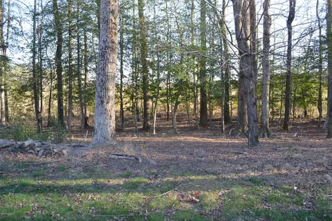 6498 Sid Rd, Lucama, NC 27851 photo 26