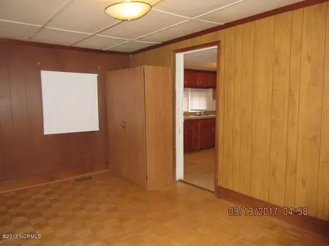 3697 Piney Woods Rd, Willard, NC 28478 photo 11