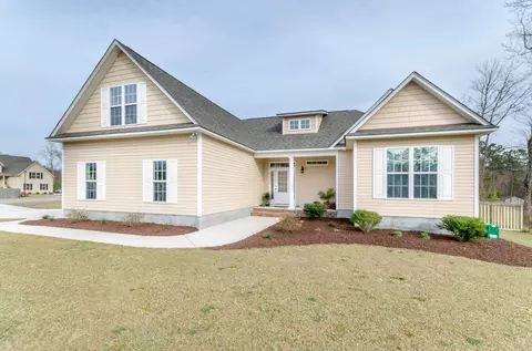 20 Surrey Downs Ct, Hampstead, NC 28443 photo 1