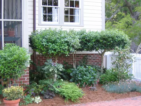624 E Front St, New Bern, NC 28560 photo 52