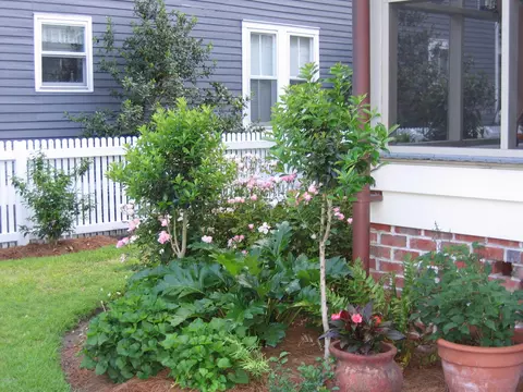 624 E Front St, New Bern, NC 28560 photo 49