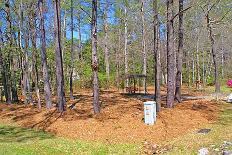 1165 Royal Tern Dr, Hampstead, NC 28443 photo 26