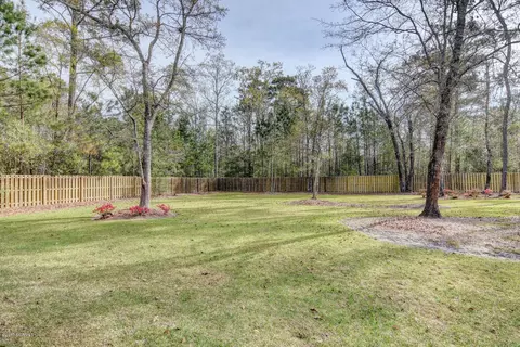 131 Headwaters Dr, Hampstead, NC 28443 photo 31