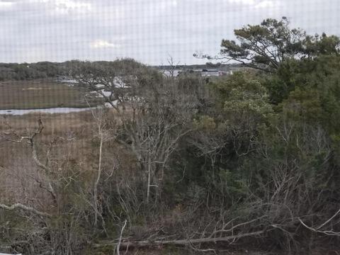 116 Lee Dr #B, Atlantic Beach, NC 28512 photo 31