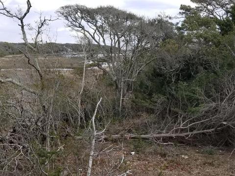 116 Lee Dr #B, Atlantic Beach, NC 28512 photo 30