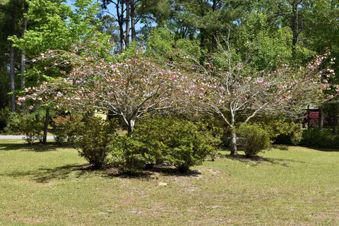 718 Sawgrass Rd, Hampstead, NC 28443 photo 34