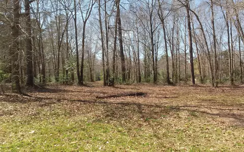 178 Legacy Lakes Dr, Wallace, NC 28466 photo 7