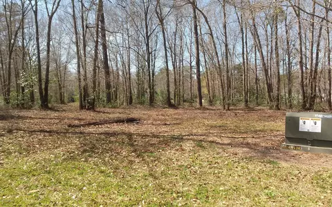 178 Legacy Lakes Dr, Wallace, NC 28466 photo 8