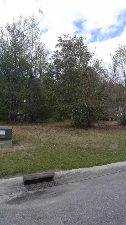 145 E Grandiflora Dr, Wallace, NC 28466 photo 8