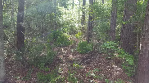 3660 Shell Point Rd, Shallotte, NC 28470 photo 4
