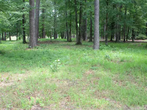 205 Perquimans Dr, Chocowinity, NC 27817 photo 8