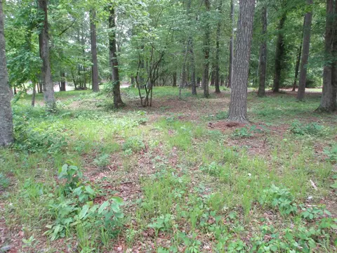 205 Perquimans Dr, Chocowinity, NC 27817 photo 9