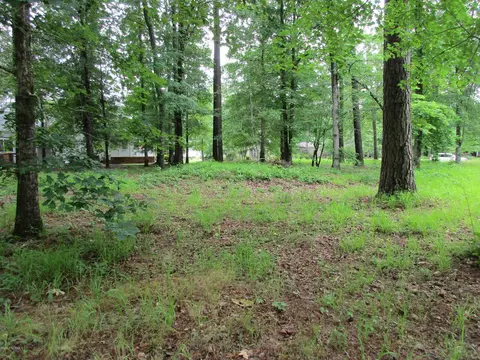 205 Perquimans Dr, Chocowinity, NC 27817 photo 5