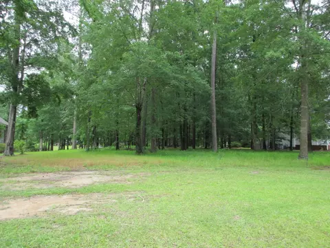 205 Perquimans Dr, Chocowinity, NC 27817 photo 6