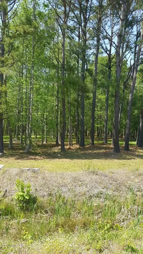 884 Caison Loop Rd SE, Winnabow, NC 28479 photo 2