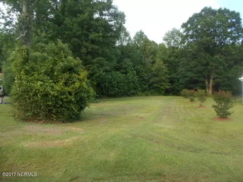 173 E Silverado Ct, Kenly, NC 27542 photo 1