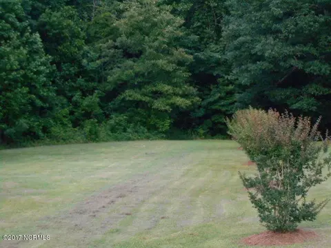 173 E Silverado Ct, Kenly, NC 27542 photo 5