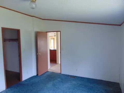 2178 Pineneedle Ln, Deep Run, NC 28525 photo 10