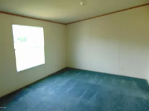 2178 Pineneedle Ln, Deep Run, NC 28525 photo 9
