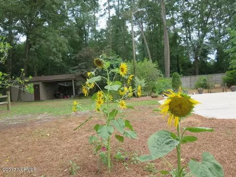 709 Dixie Rd, Clinton, NC 28328 photo 6