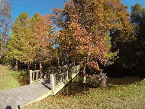 183 Aster Pl, Hampstead, NC 28443 photo 8