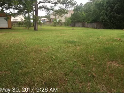 335 Riggs, Hubert, NC 28539 photo 5