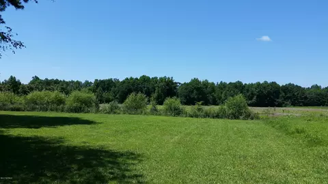 269 Webber Rd, Willard, NC 28478 photo 5