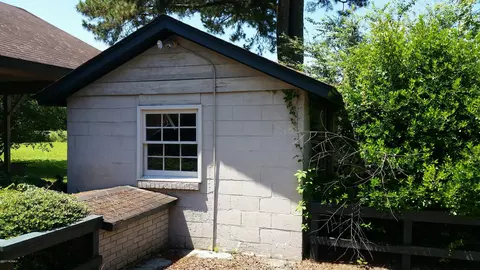 269 Webber Rd, Willard, NC 28478 photo 8