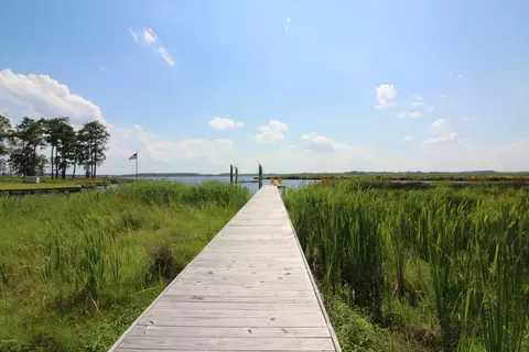 259 Smith Rd, Belhaven, NC 27810 photo 16