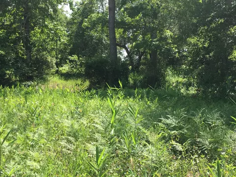 158 Stacy Loop Rd, Stacy, NC 28581 photo 3