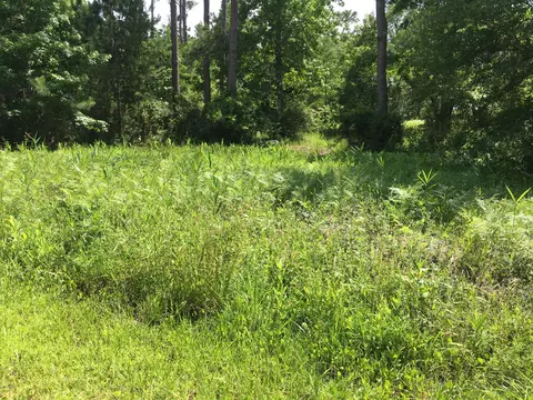 158 Stacy Loop Rd, Stacy, NC 28581 photo 1