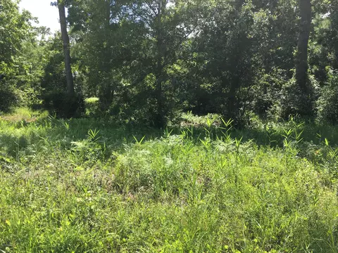 158 Stacy Loop Rd, Stacy, NC 28581 photo 2