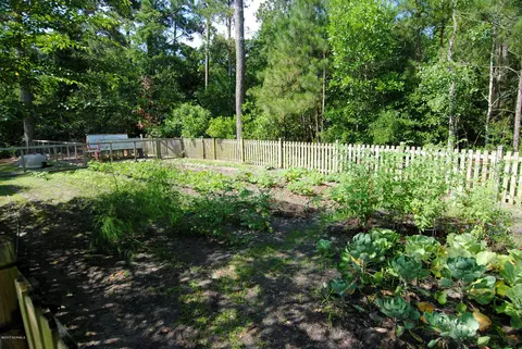 208 Headwaters Dr, Hampstead, NC 28443 photo 40