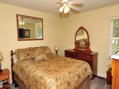 616 Johnson Nursery Rd, Willard, NC 28478 photo 16