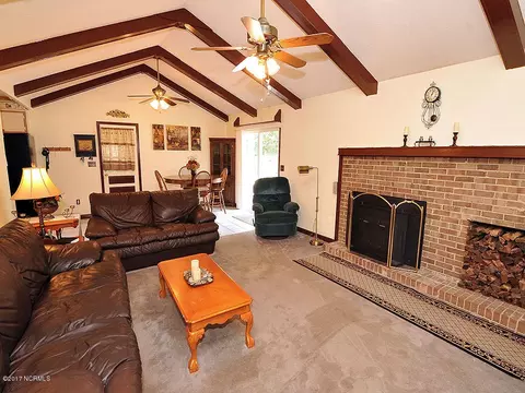 616 Johnson Nursery Rd, Willard, NC 28478 photo 6
