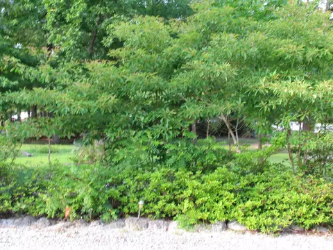 772 King Dr, Hampstead, NC 28443 photo 8