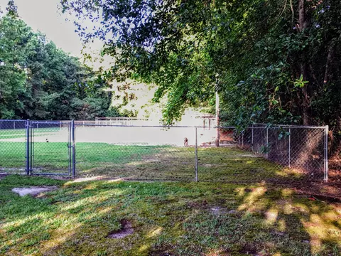 11199 Simms Rd, Bailey, NC 27807 photo 5