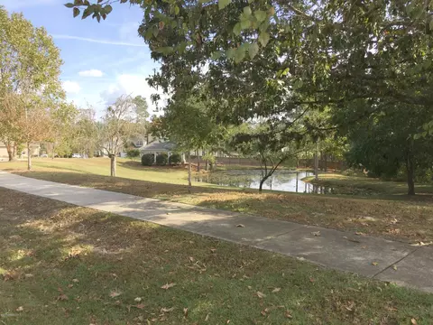 139 Cornel Ln, Hampstead, NC 28443 photo 39