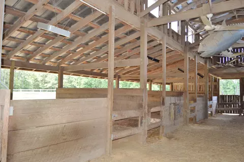 4694 Tuckahoe Rd, Ivanhoe, NC 28447 photo 8