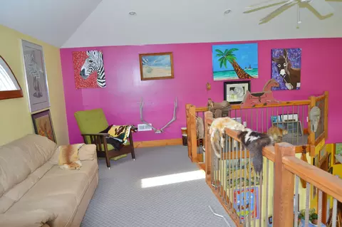 4694 Tuckahoe Rd, Ivanhoe, NC 28447 photo 26