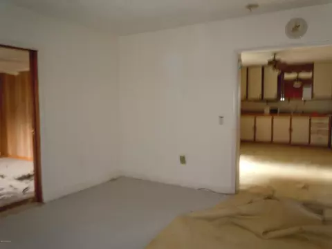 110 Thompson St, Chadbourn, NC 28431 photo 4