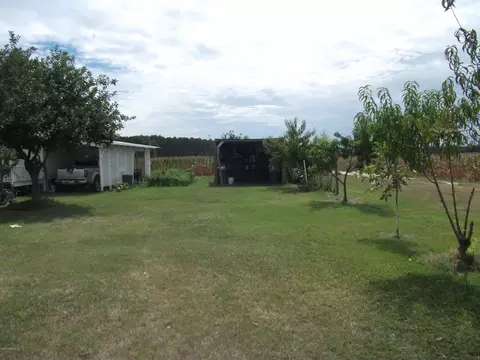 1464 Nc-210, Harrells, NC 28444 photo 6