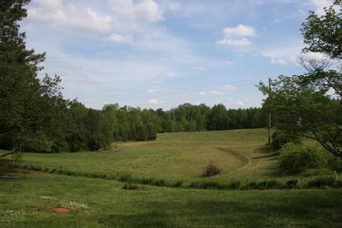 8831 Driver Rd, Middlesex, NC 27557 photo 4