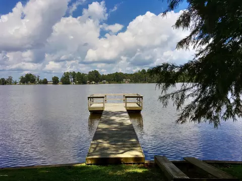120 Dickinson Rd, Chocowinity, NC 27817 photo 9