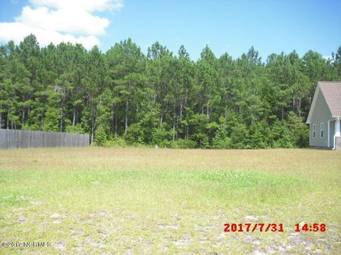 313 Springcreek Ct, Hubert, NC 28539 photo 8