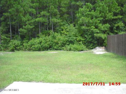 313 Springcreek Ct, Hubert, NC 28539 photo 11
