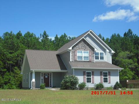 313 Springcreek Ct, Hubert, NC 28539 photo 1