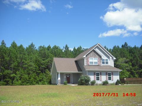 313 Springcreek Ct, Hubert, NC 28539 photo 9